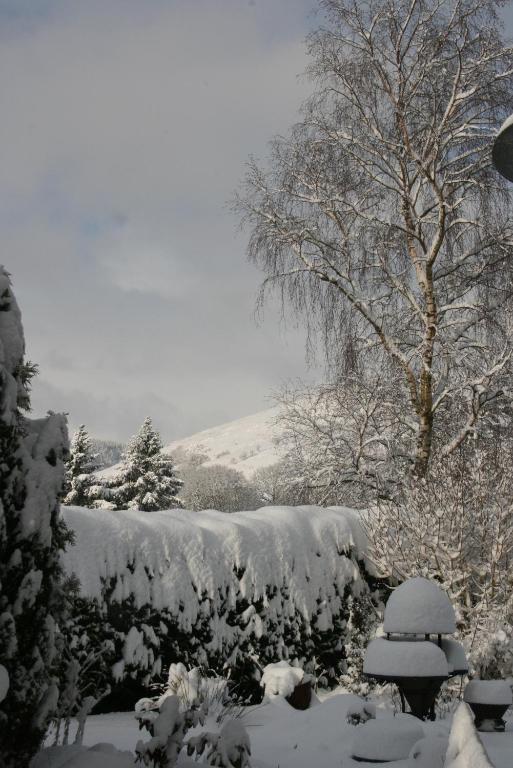 Bed and Breakfast Ty Carreg Llanwrtyd Wells Exterior foto
