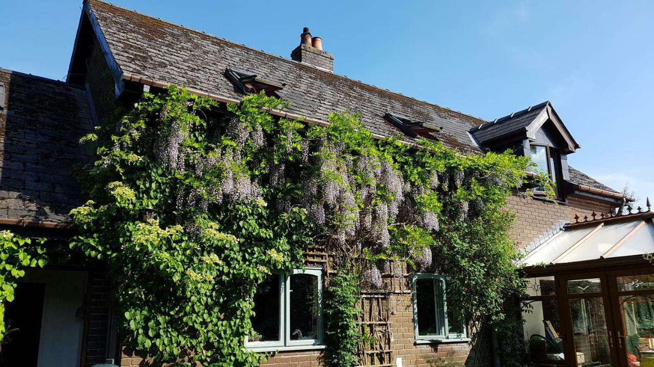 Bed and Breakfast Ty Carreg Llanwrtyd Wells Exterior foto